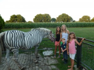 zebra, bastelideen, schulanfang conny, vechteerlebniss 003
